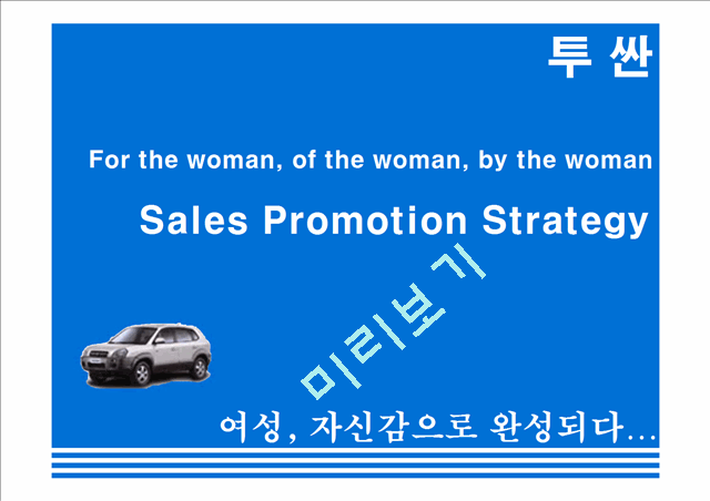 Sales Promotion Strategy   (1 )